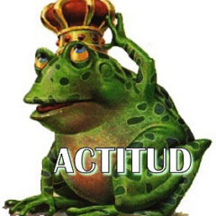 ActitudFrog.jpg