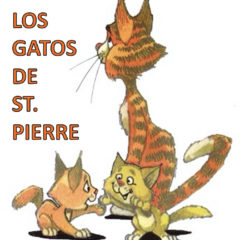 Dadart-Gatos-de-St-Pierre.jpg