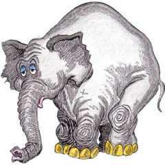 ELEPHANT-THEME.jpg